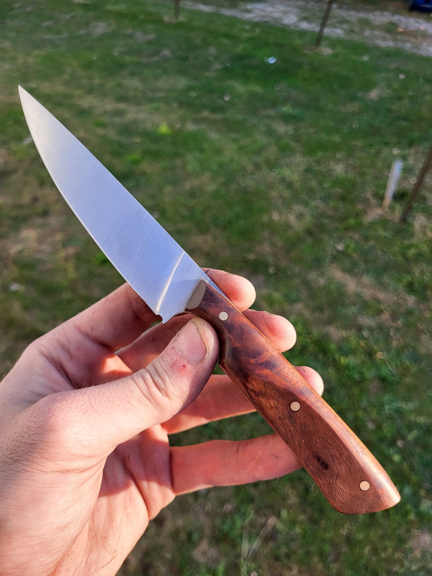 Bird and Trout in Figured Walnut