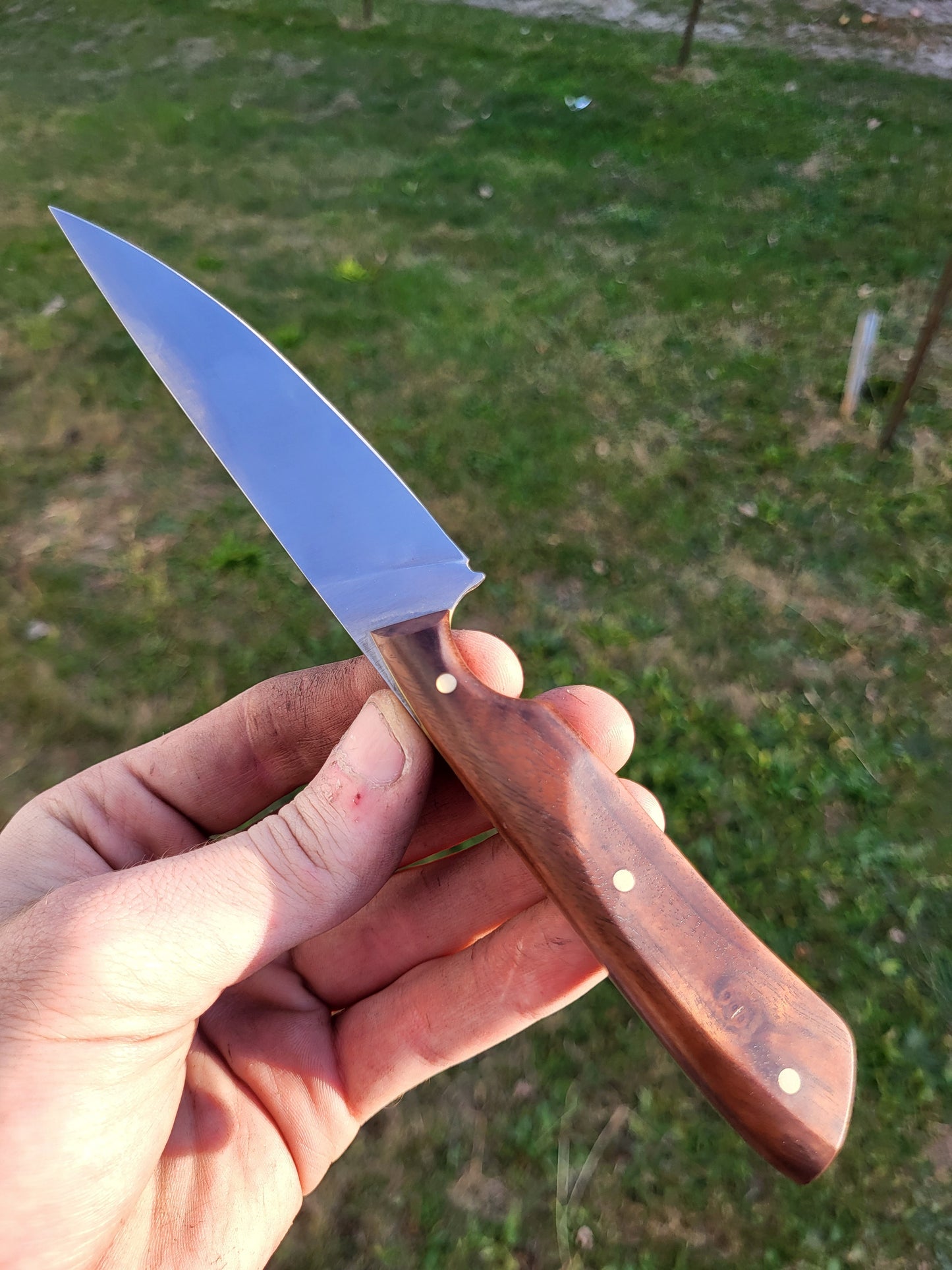 Bird and Trout in Figured Walnut