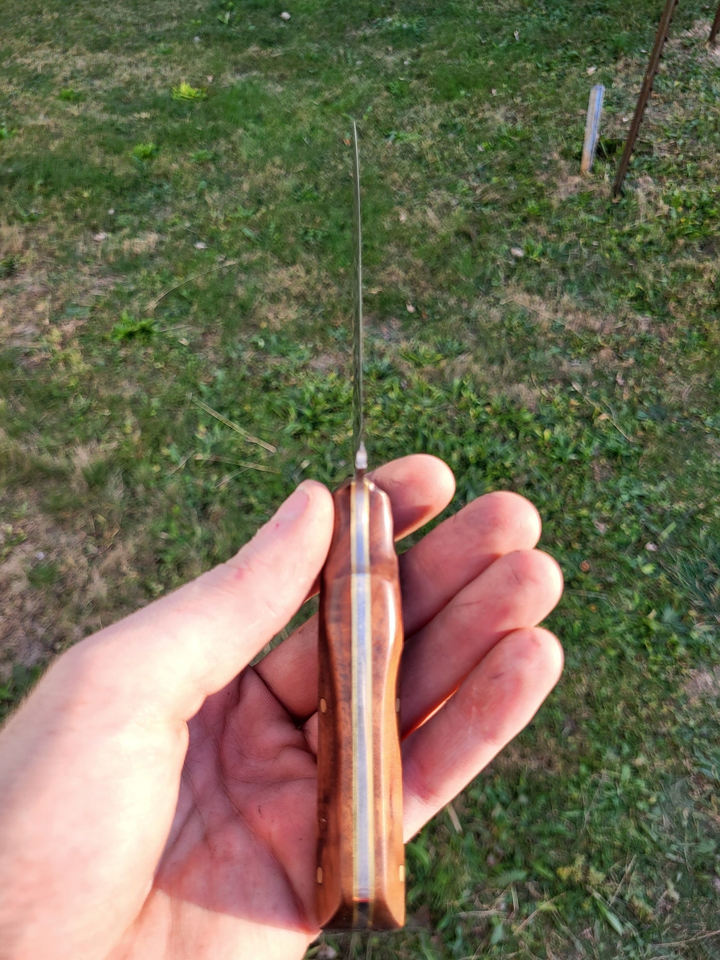 Bird and Trout in Figured Walnut