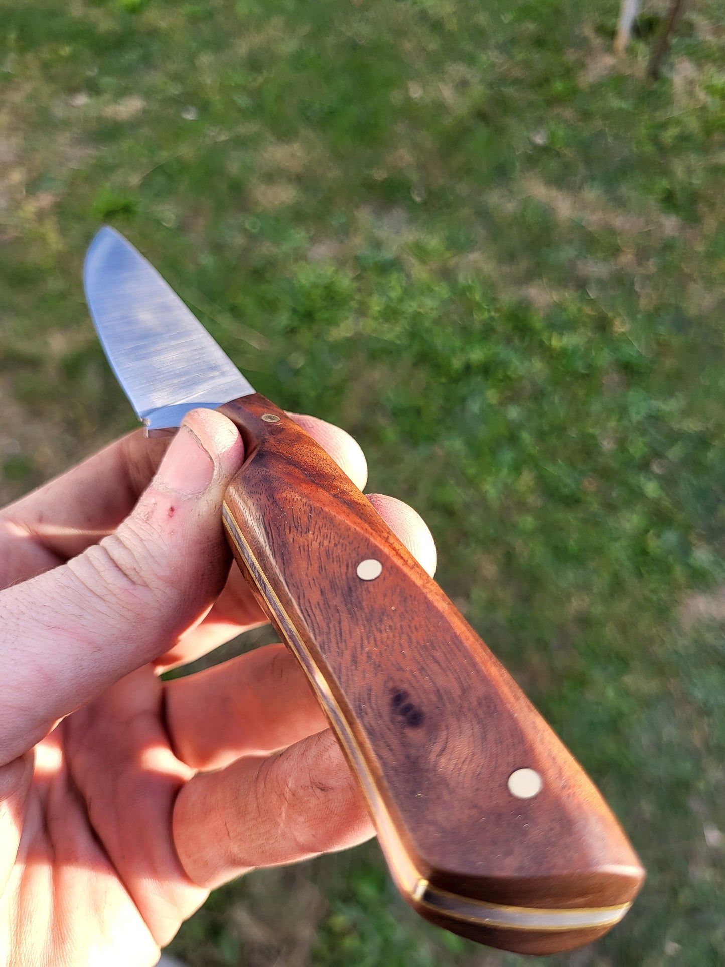 Bird and Trout in Figured Walnut