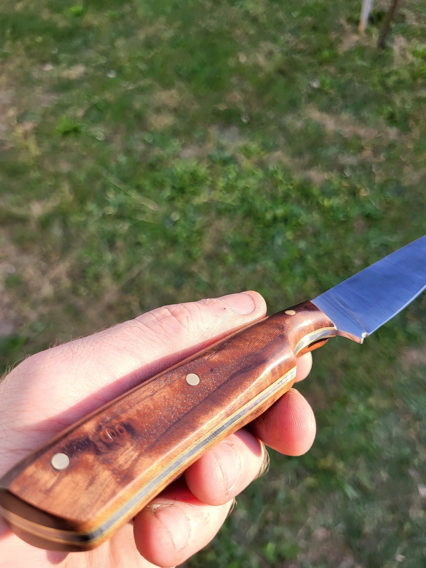 Bird and Trout in Figured Walnut