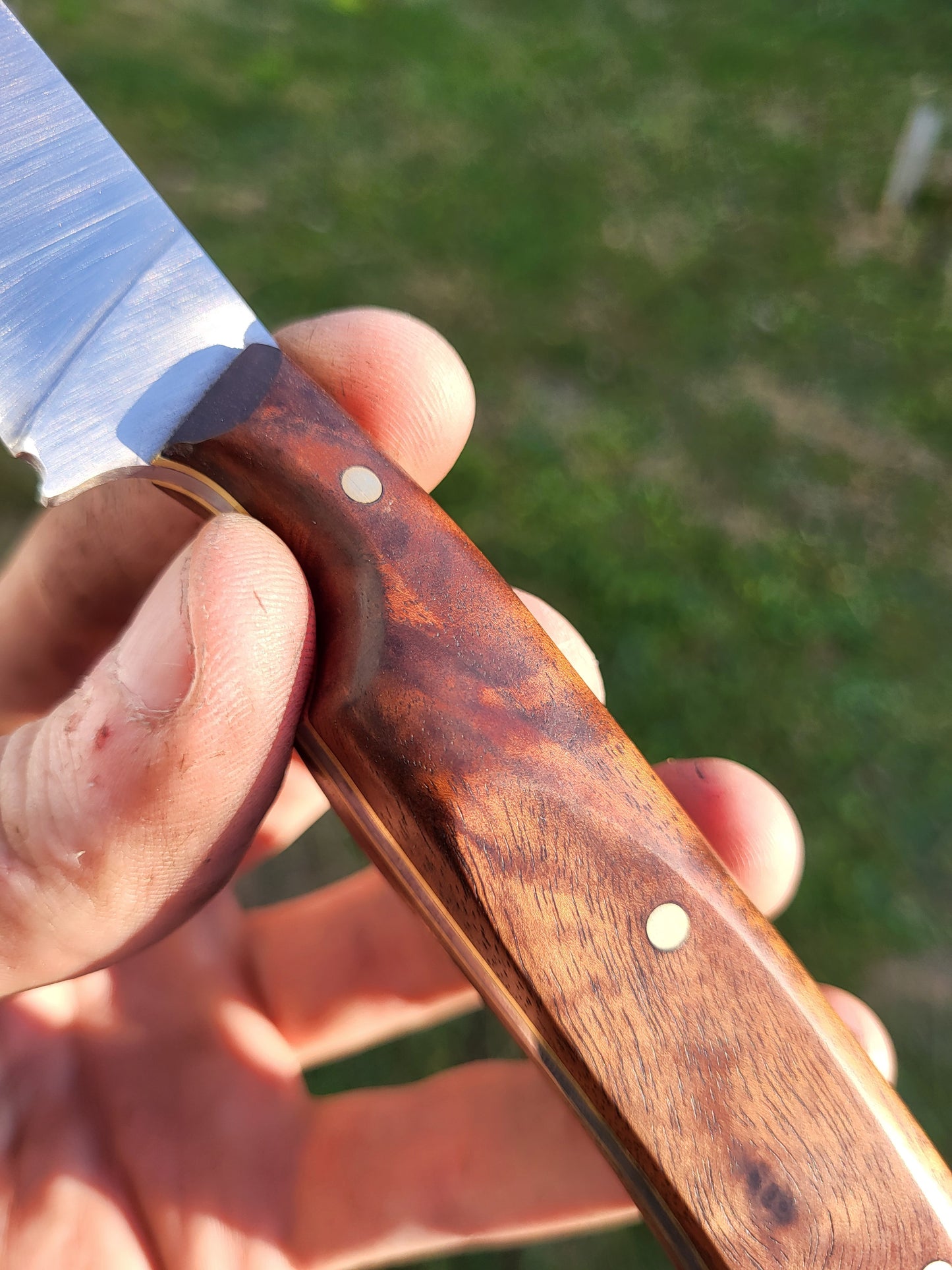 Bird and Trout in Figured Walnut