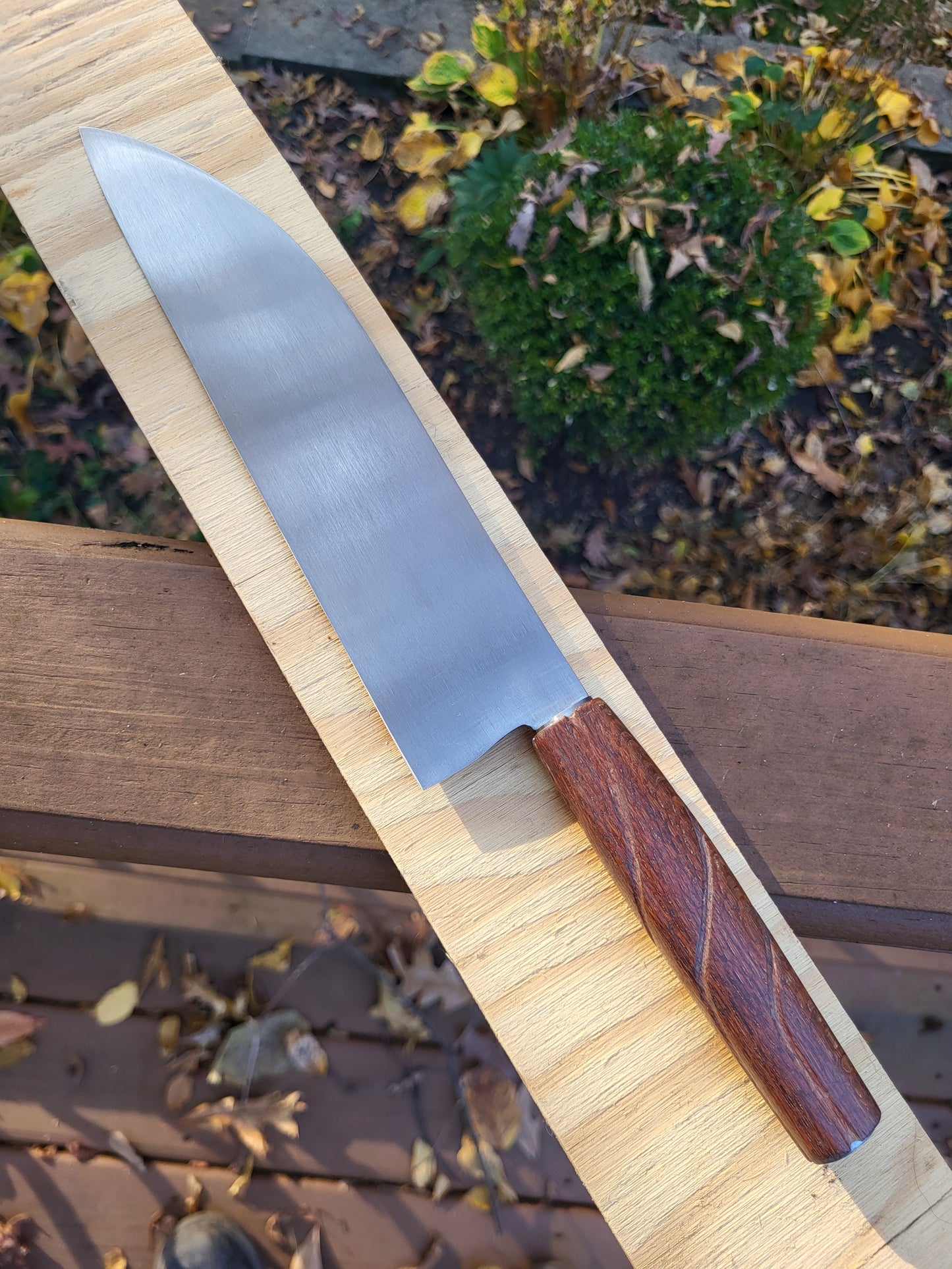 Santoku in Snakewood