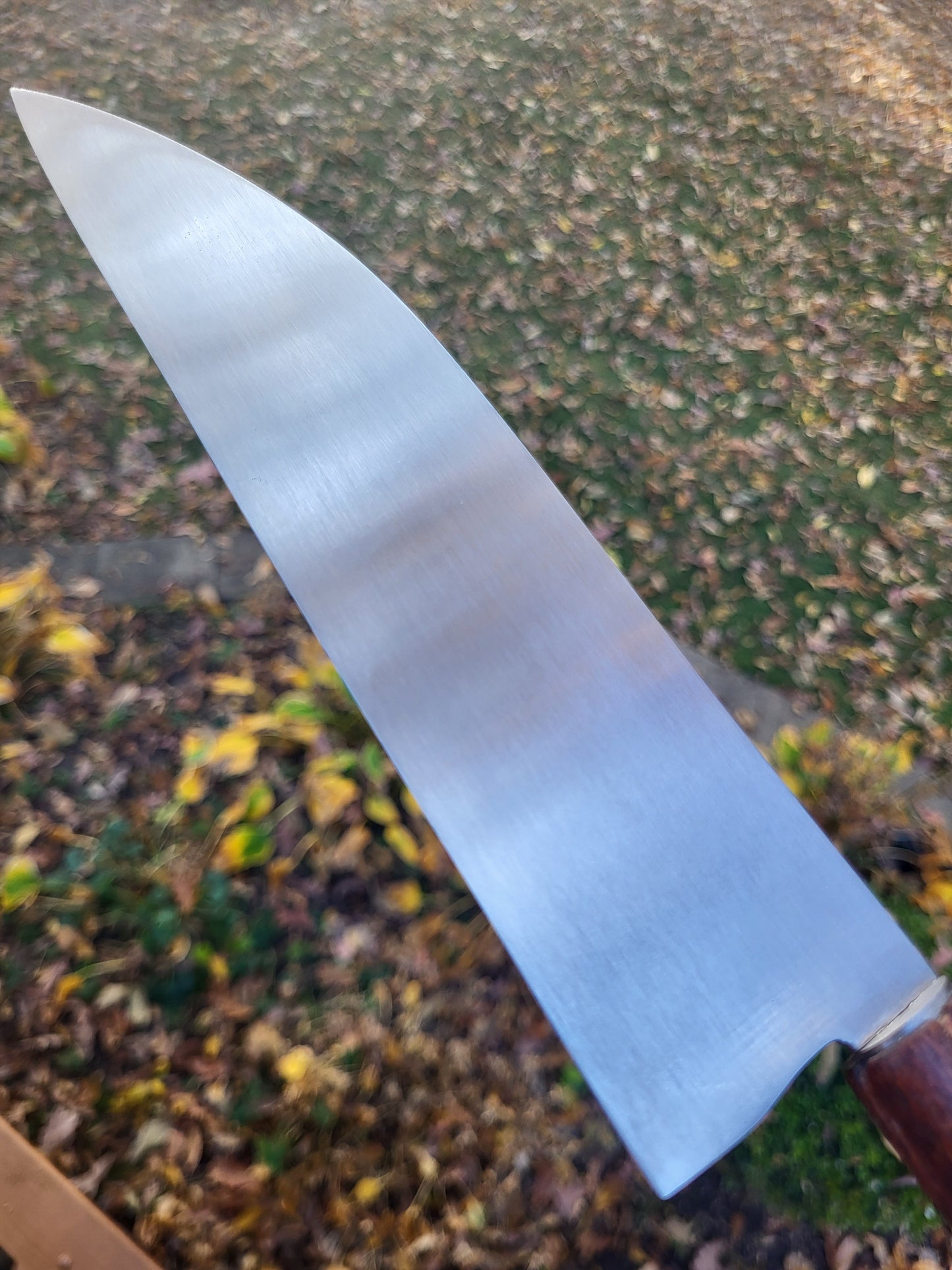 Santoku in Snakewood