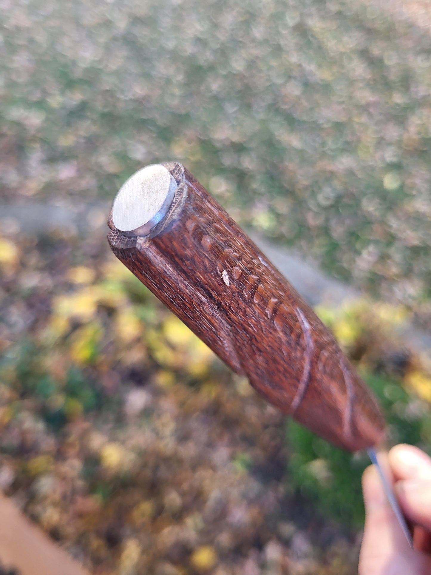 Santoku in Snakewood