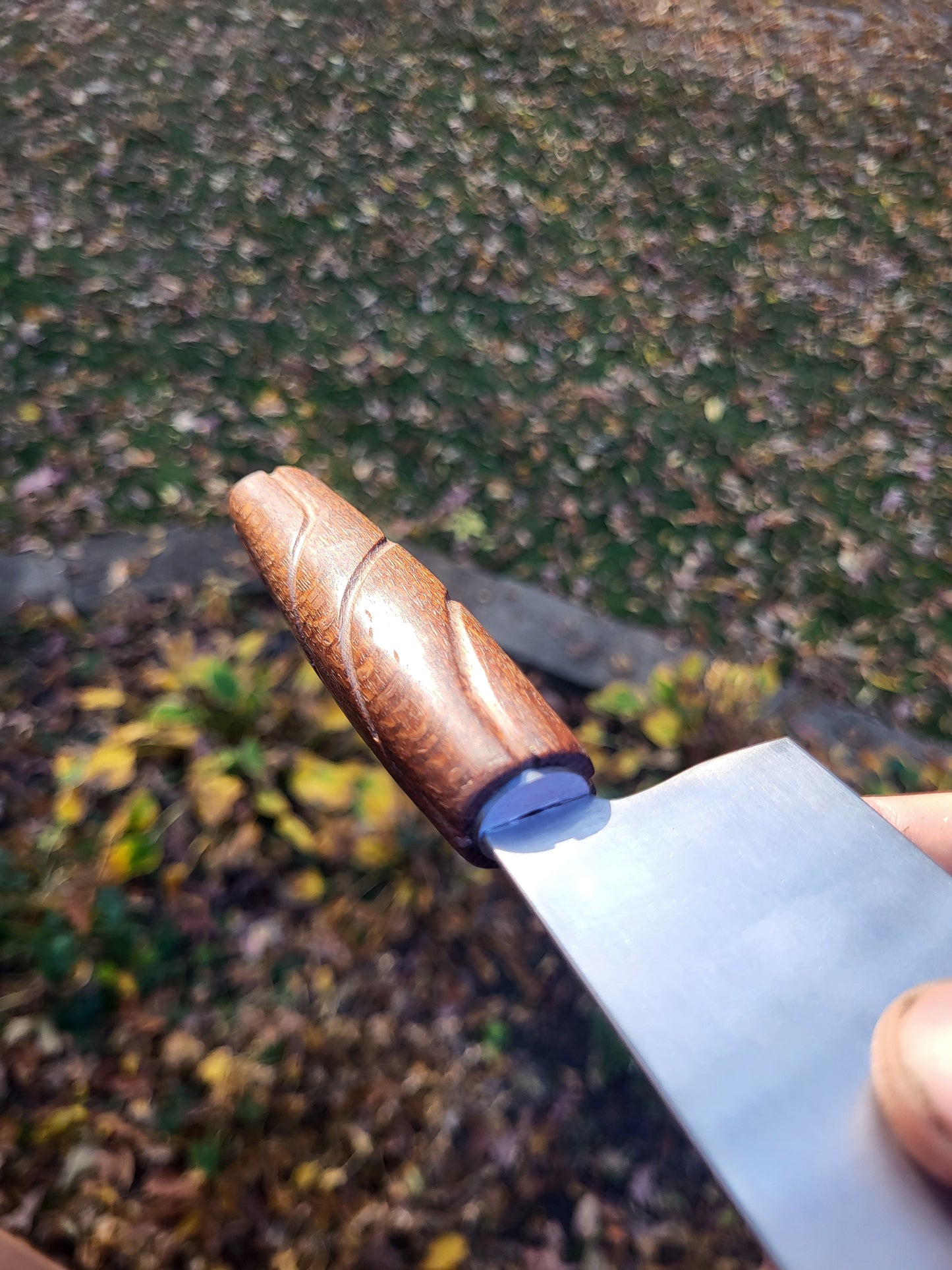 Santoku in Snakewood