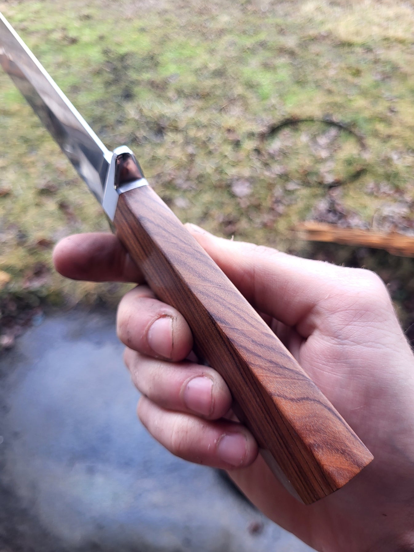 Bowie in Rosewood