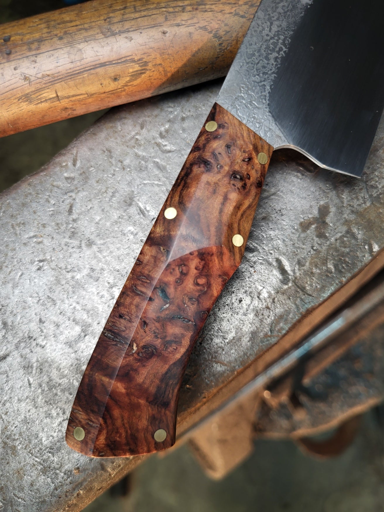 8in Santoku in Buckeye Burl